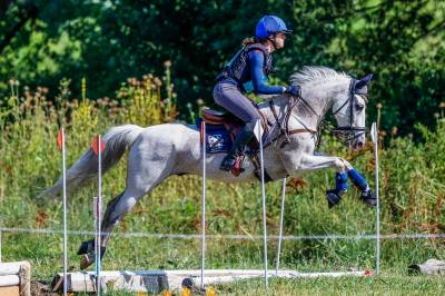 Poni C competición en venta. 