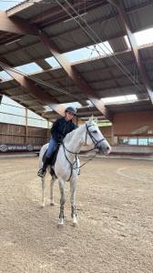 Cavalla zangersheide in vendita 2017 grigio ,  untouchable