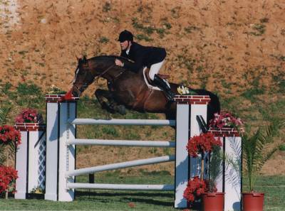 CAP DE B'NEVILLE - Selle Français 1994 by starter