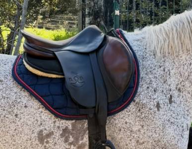 Selle primo prezzo delgrange pas la connaissance  17.5