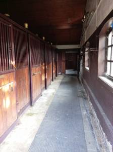 Scuderie e area recintata equestre con villa e piscina