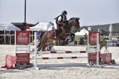 Mare French Saddle Pony For sale 2016 Dark Bay