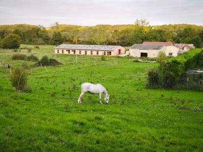 Acaballadero en venta yonne