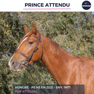 Prince attendu - ps - 4 ans 