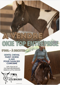 A vendre 