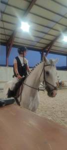 Caballo 6 años iniciado en salto