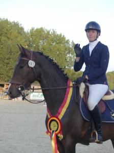 Castrone sbs cavallo da sport belgio in vendita 2021 baio scuro ,  quinto van het molenhof