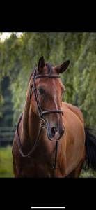 Propose demi pension