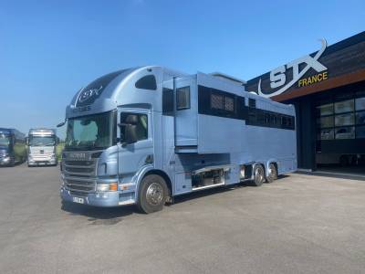 Cami&oacute;n para caballos Scania P 410 2017 De segunda mano