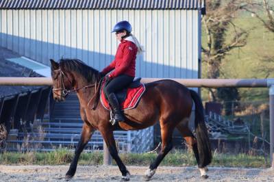 Top poney de sport pour cso