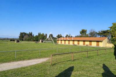 Hippisch vastgoed koop pyrénées-orientales