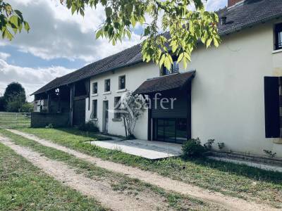 Schapen exploitatie koop nièvre