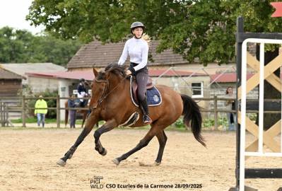 Recherche post cavalier maison 