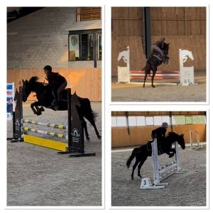 Ponette grand D ONC 6 ans 