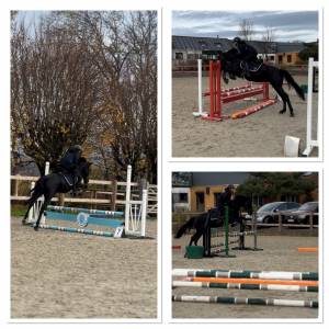 Ponette grand D ONC 6 ans 