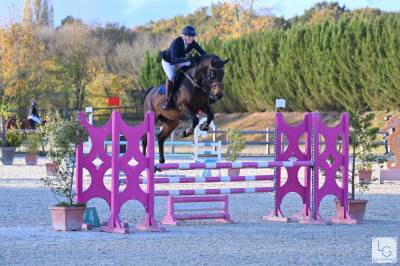 Cavalla sella francese in vendita 2019 baio ,  balou star