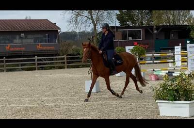 Ponette pfs taille d 3 ans 