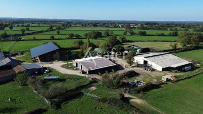 Bos exploitatie koop deux-sèvres