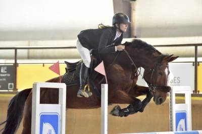 Cavalla kwpn 2015