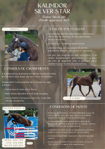 Kalimdor silver star - French Saddle Pony 2020 by Gatsby des saulaies