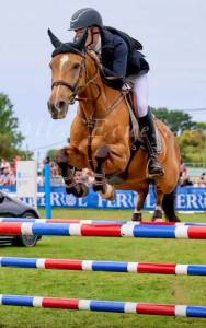 Caballo de salto para alevín o amateur