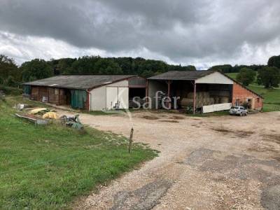 Graan exploitatie koop jura