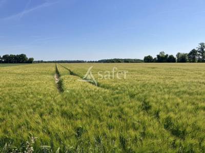 Recherche Investisseur