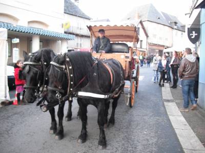 Chevaux Mérens et calèche