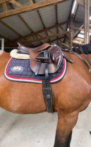 Sella da salto ostacoli  bruno delgrange  17