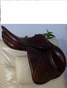 Montura  salto amerigo pinerolo dj