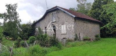 Schapen exploitatie koop haute-vienne