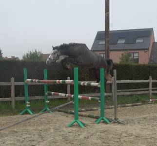 Prix sp&eacute;cial pour le bon pilote ambitieux Promising BWP