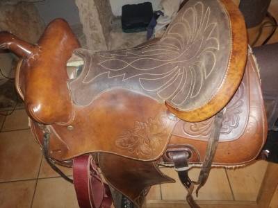 Sella western   16