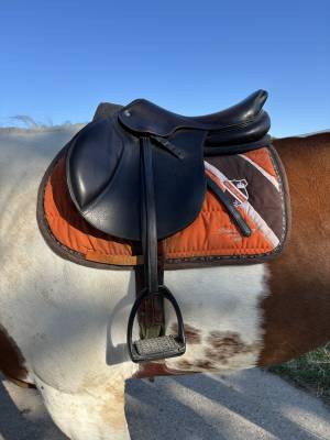 Sella da salto ostacoli hervé godignon  17.5