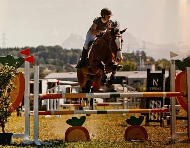 Cavali&egrave;re chef d'&eacute;curie 