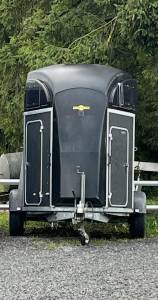 Van humbaur balios aero - 2 chevaux