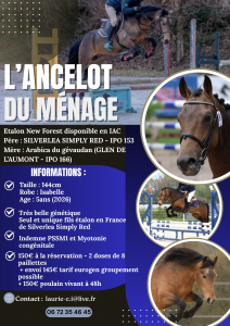 L'ancelot du ménage  : saillie étalon new forest isabelle l'ancelot du ménage 