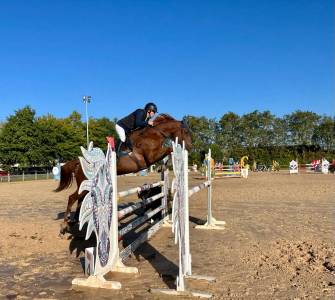 Vends jument cso 9 ans super génétique