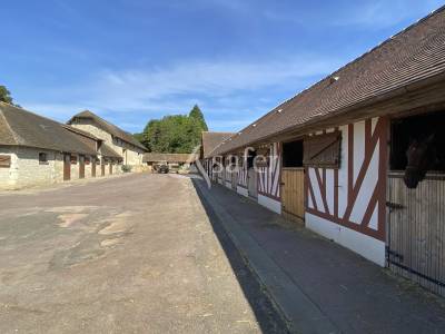 Haras d'élevage