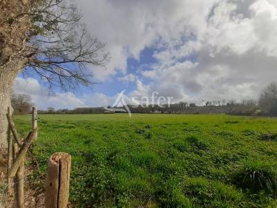 Bâtiments agricoles sur environ 15 ha