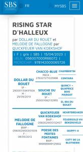 Jument de 2 ans prometteuse 