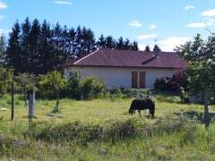 Propriété équestre à vendre