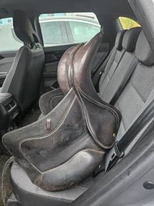 Forestier dressage 2002 