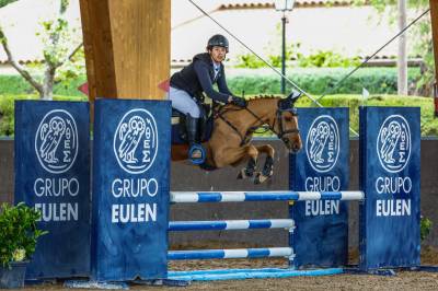 Poni C Douanier Du Buhot