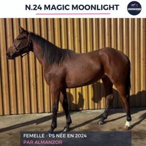 N24 magic moonlight - ps - 1 an