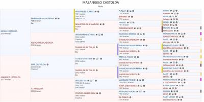 Puledro purosangue arabo