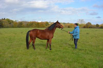Ponette 4 ans par pawnee