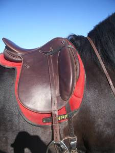 Sella da dressage   17