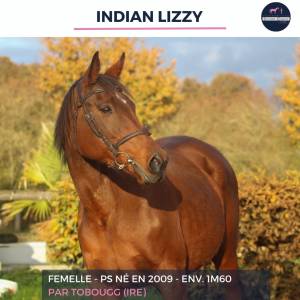 Indian lizzy - ps - 16 ans