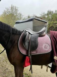 Selle de dressage 